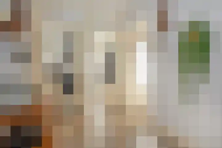 Aert van Neslaan 426 Oegstgeest thumbnail 20