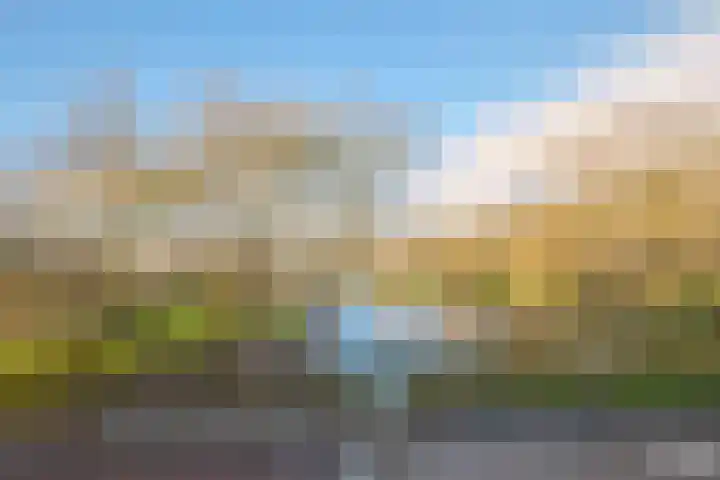 Aert van Neslaan 426 Oegstgeest thumbnail 43