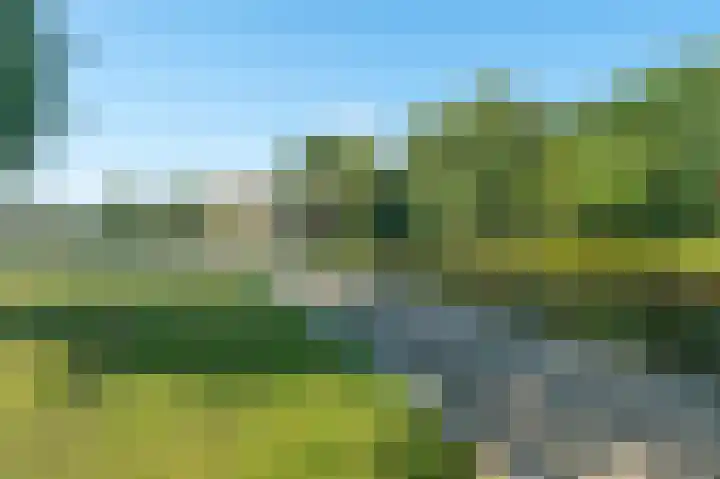 Aert van Neslaan 432 Oegstgeest thumbnail 22