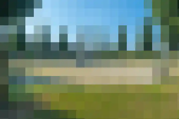 Aert van Neslaan 432 Oegstgeest thumbnail 23