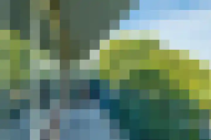 Aert van Neslaan 432 Oegstgeest thumbnail 26