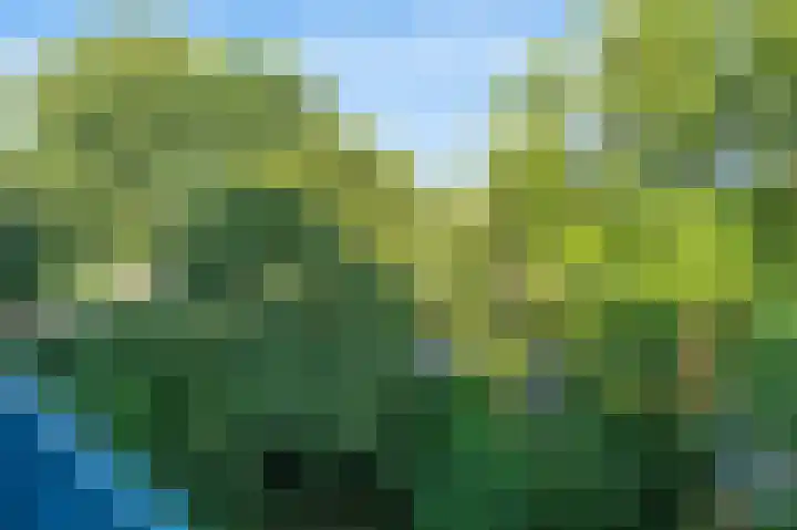 Aert van Neslaan 432 Oegstgeest thumbnail 28