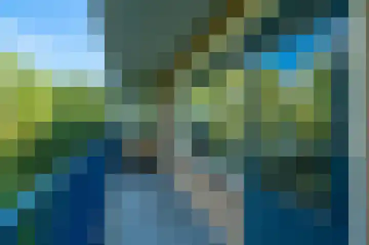Aert van Neslaan 432 Oegstgeest thumbnail 29