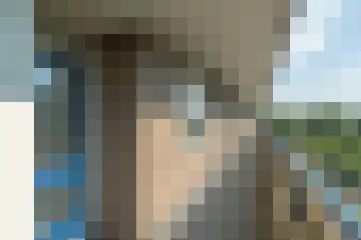 Aert van Neslaan 432 Oegstgeest thumbnail 30