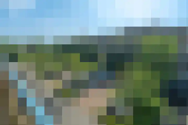 Aert van Neslaan 432 Oegstgeest thumbnail 32