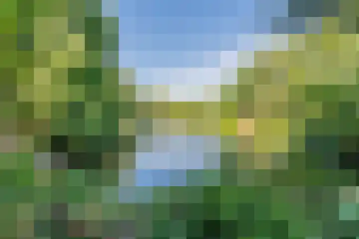 Aert van Neslaan 440 Oegstgeest thumbnail 26