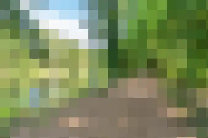 Aert van Neslaan 440 Oegstgeest thumbnail 27