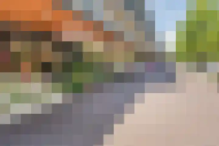 Aert van Neslaan 440 Oegstgeest thumbnail 31