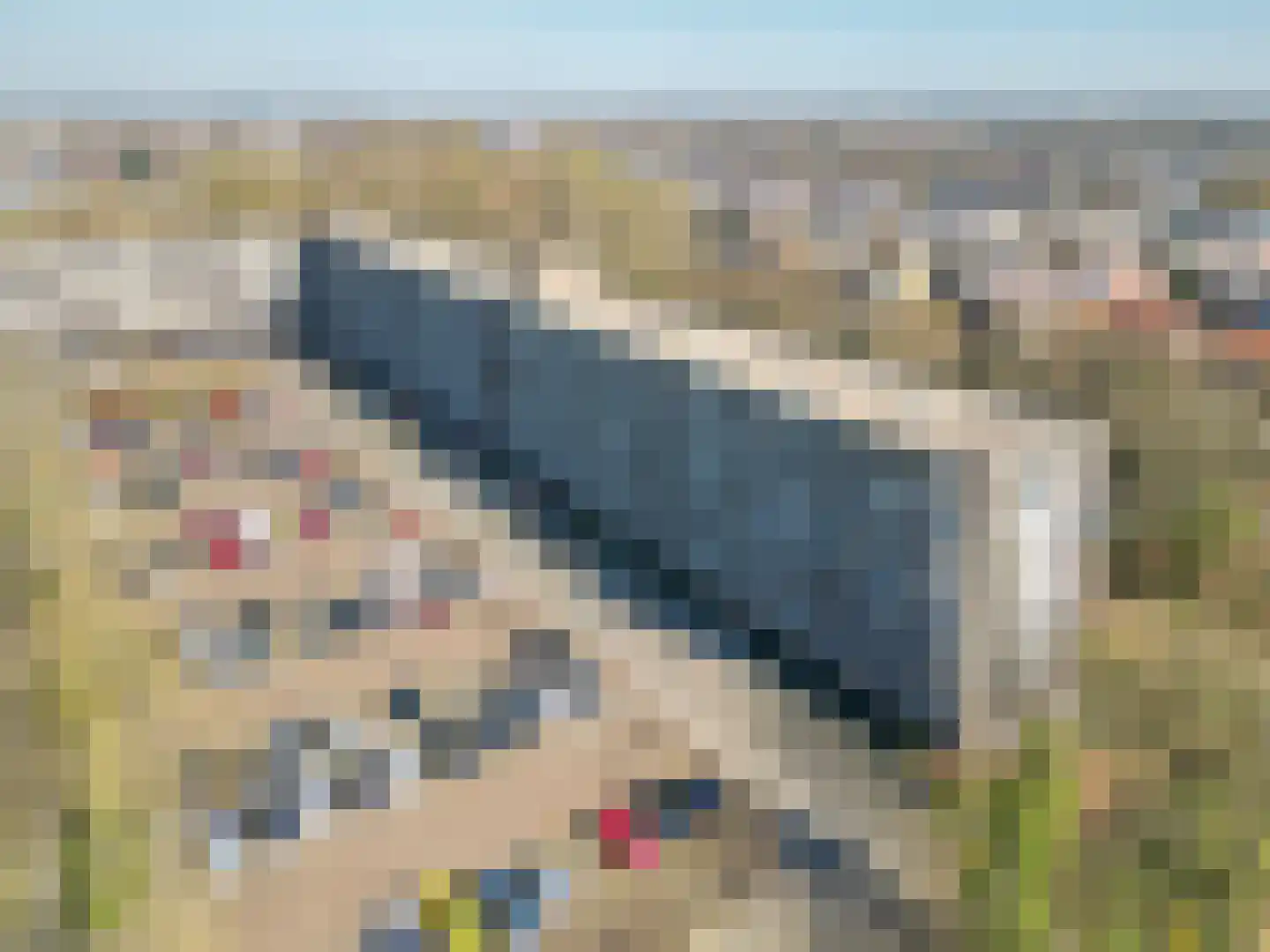 Aert van Neslaan 447 Oegstgeest thumbnail 22