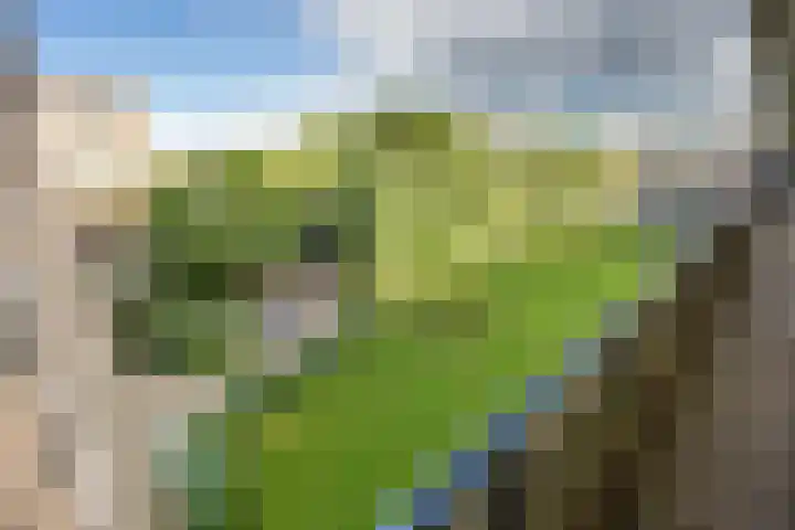 Aert van Neslaan 506 Oegstgeest thumbnail 12