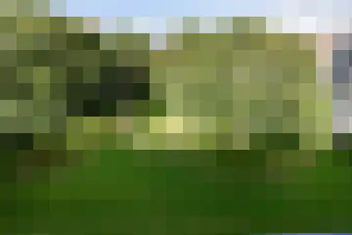Aert van Neslaan 506 Oegstgeest thumbnail 14