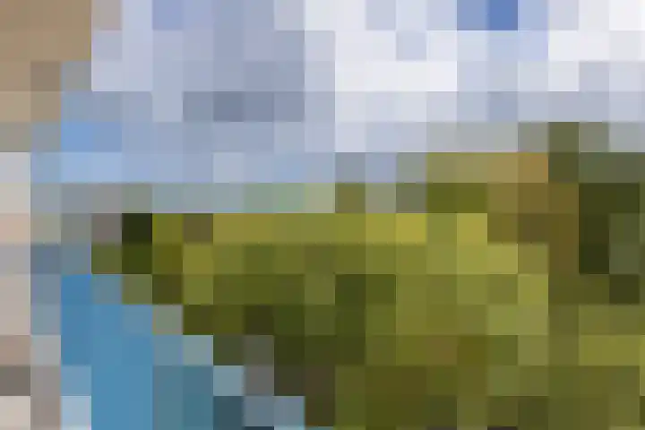 Aert van Neslaan 506 Oegstgeest thumbnail 39