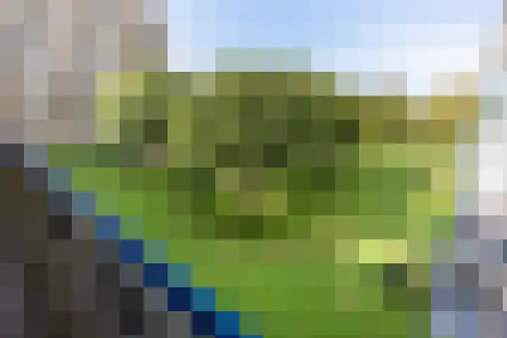 Aert van Neslaan 506 Oegstgeest thumbnail 5