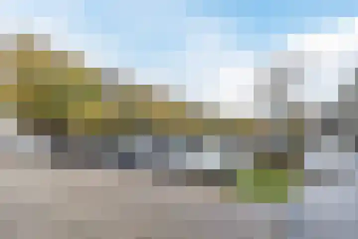 Aert van Neslaan 509 Oegstgeest thumbnail 24