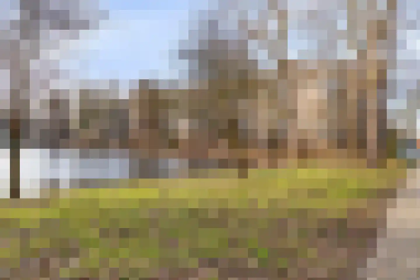 Aert van Neslaan 528 Oegstgeest thumbnail 25