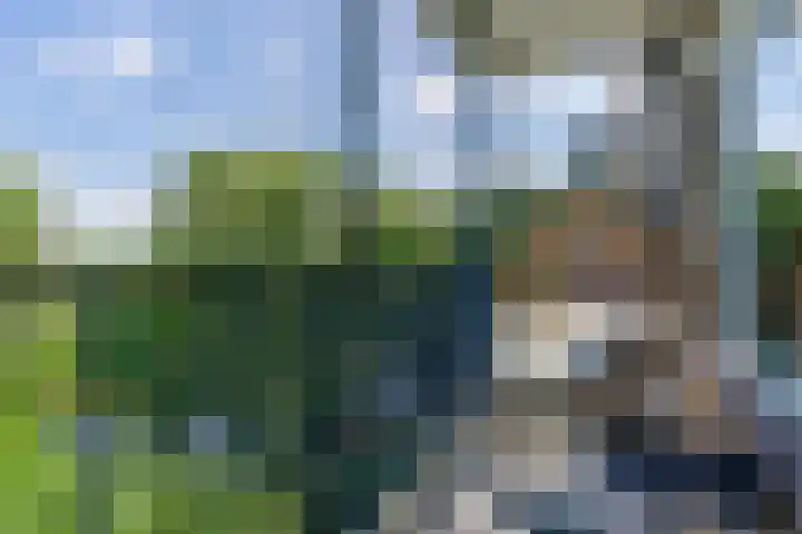 Aert van Neslaan 533 Oegstgeest thumbnail 10