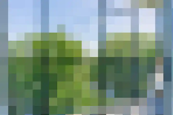 Aert van Neslaan 533 Oegstgeest thumbnail 9