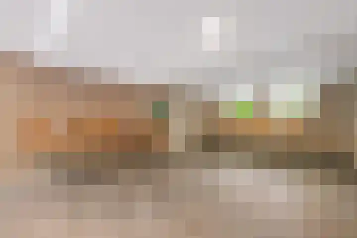 Aert van Neslaan 541 Oegstgeest thumbnail 16