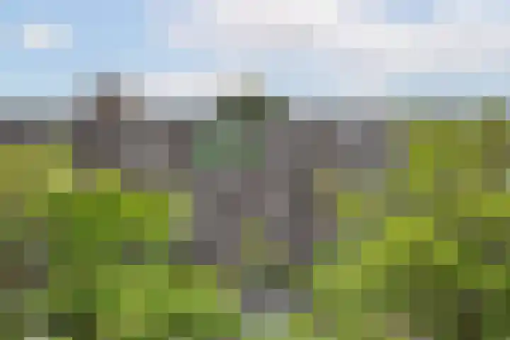 Aert van Neslaan 541 Oegstgeest thumbnail 18