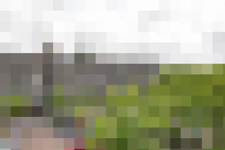 Aert van Neslaan 541 Oegstgeest thumbnail 19