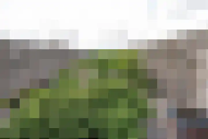 Aert van Neslaan 541 Oegstgeest thumbnail 20