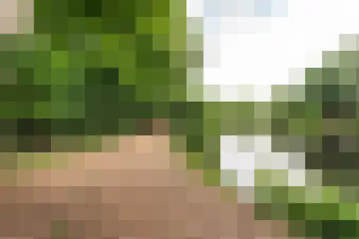 Aert van Neslaan 541 Oegstgeest thumbnail 21