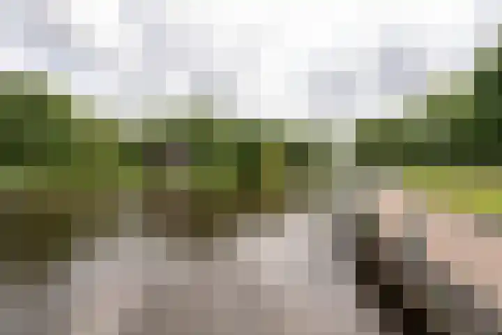 Aert van Neslaan 541 Oegstgeest thumbnail 22