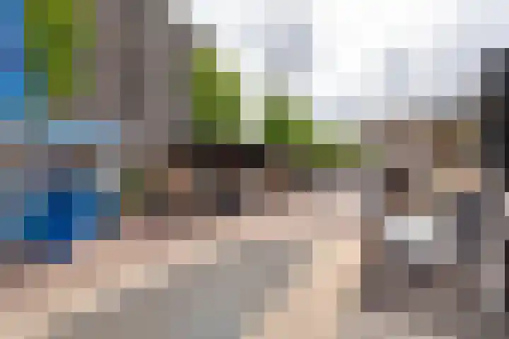 Aert van Neslaan 541 Oegstgeest thumbnail 26