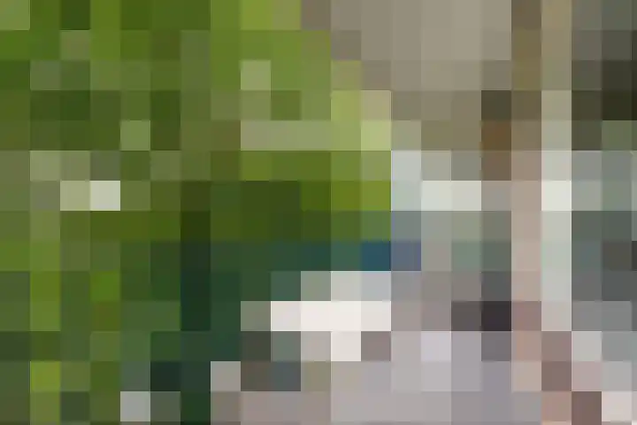 Aert van Neslaan 541 Oegstgeest thumbnail 8