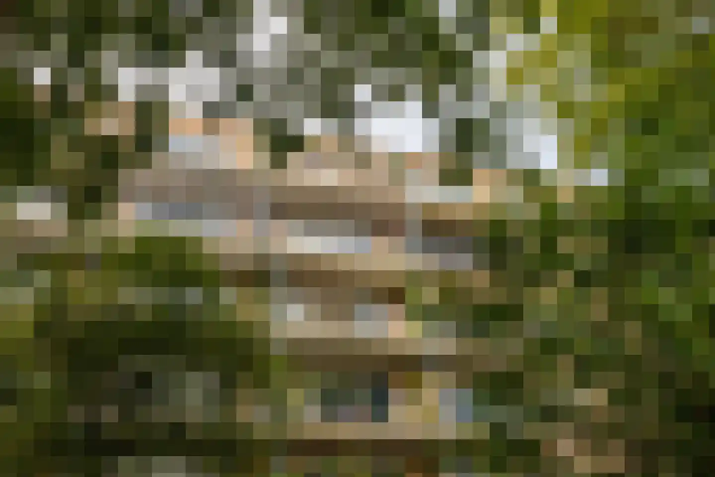 Aert van Neslaan 545 Oegstgeest thumbnail 10