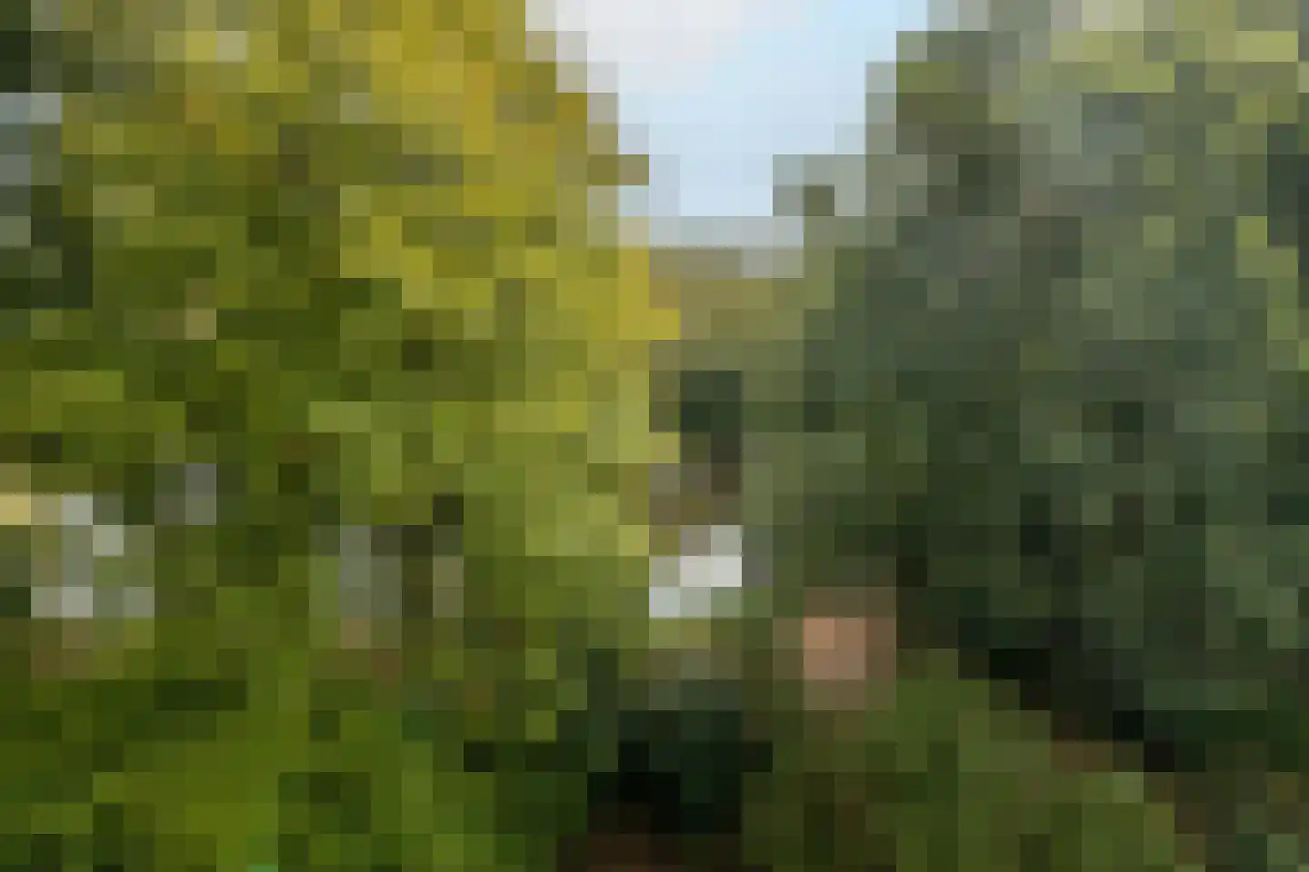 Aert van Neslaan 545 Oegstgeest thumbnail 28