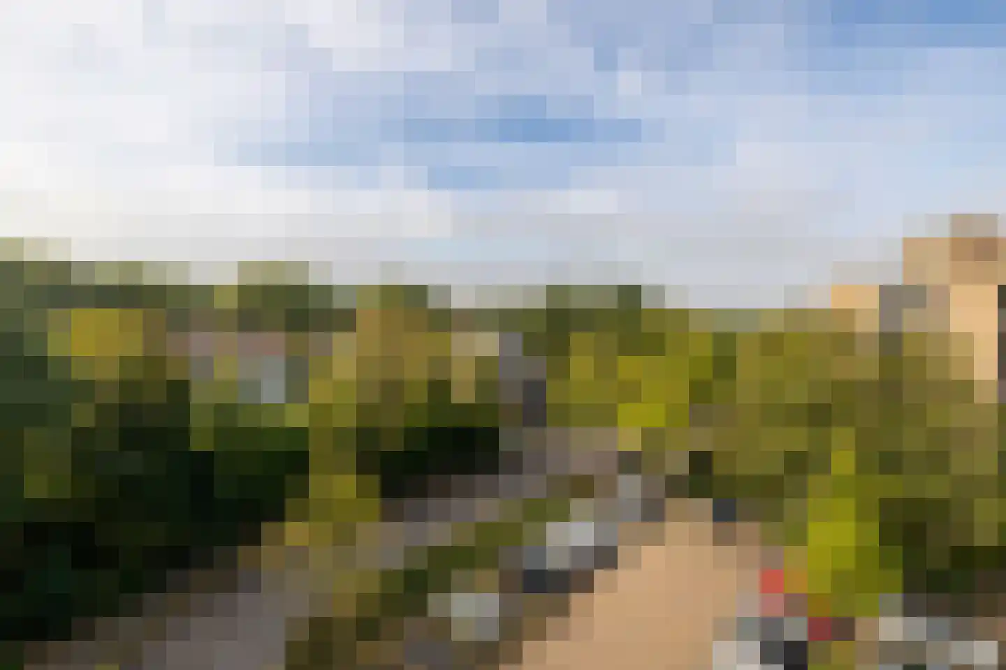 Aert van Neslaan 545 Oegstgeest thumbnail 35