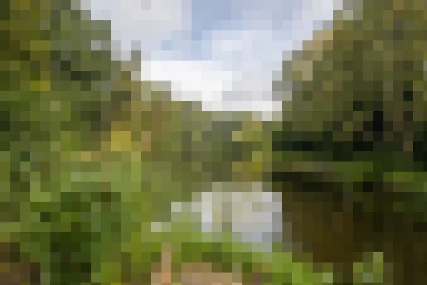 Aert van Neslaan 545 Oegstgeest thumbnail 37