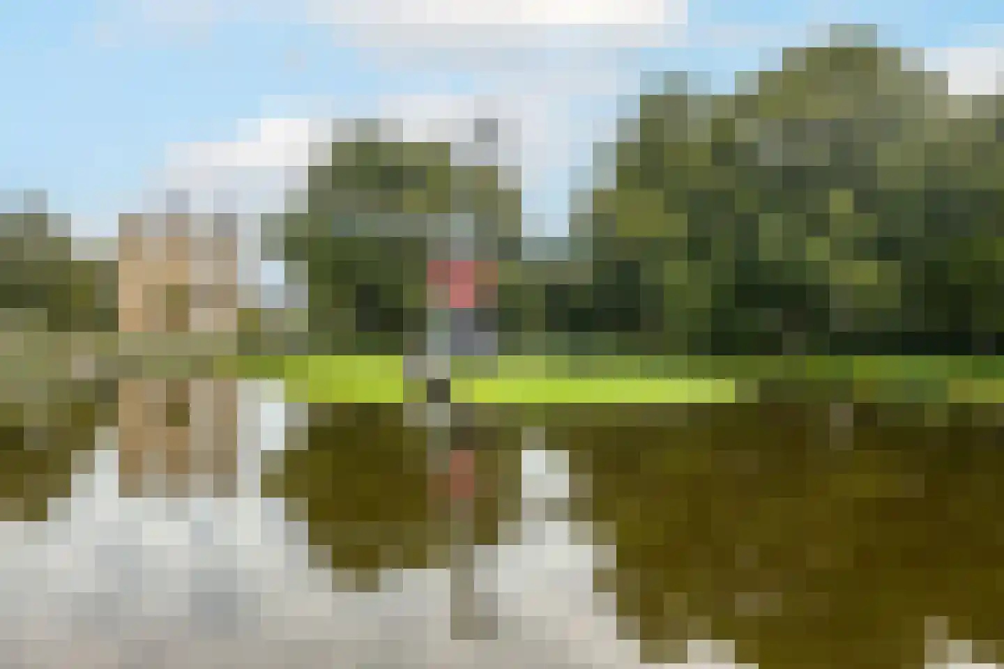 Aert van Neslaan 545 Oegstgeest thumbnail 38