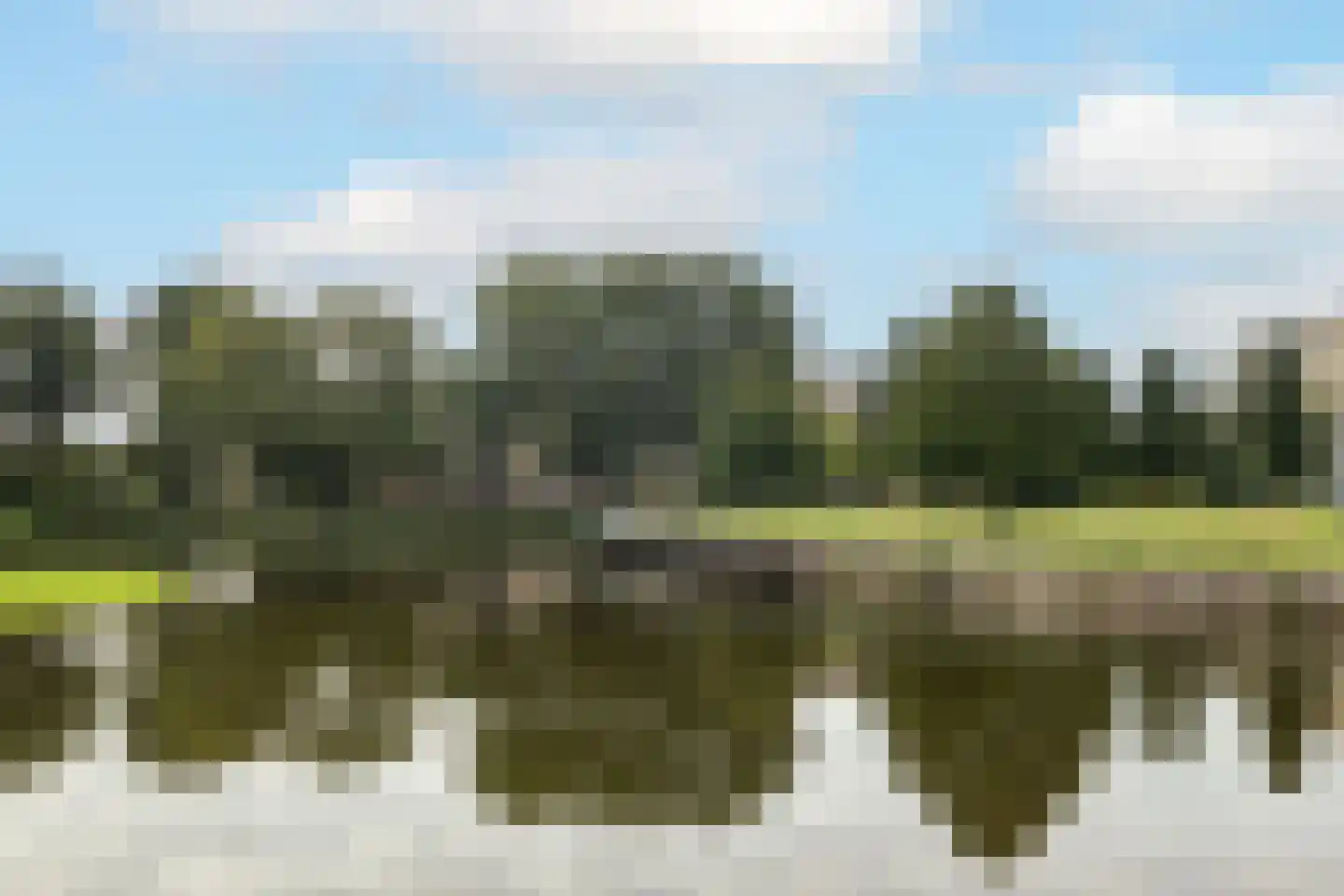 Aert van Neslaan 545 Oegstgeest thumbnail 6