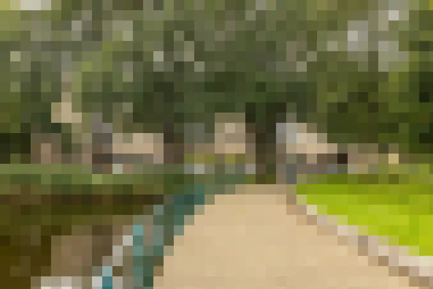 Aert van Neslaan 545 Oegstgeest thumbnail 7