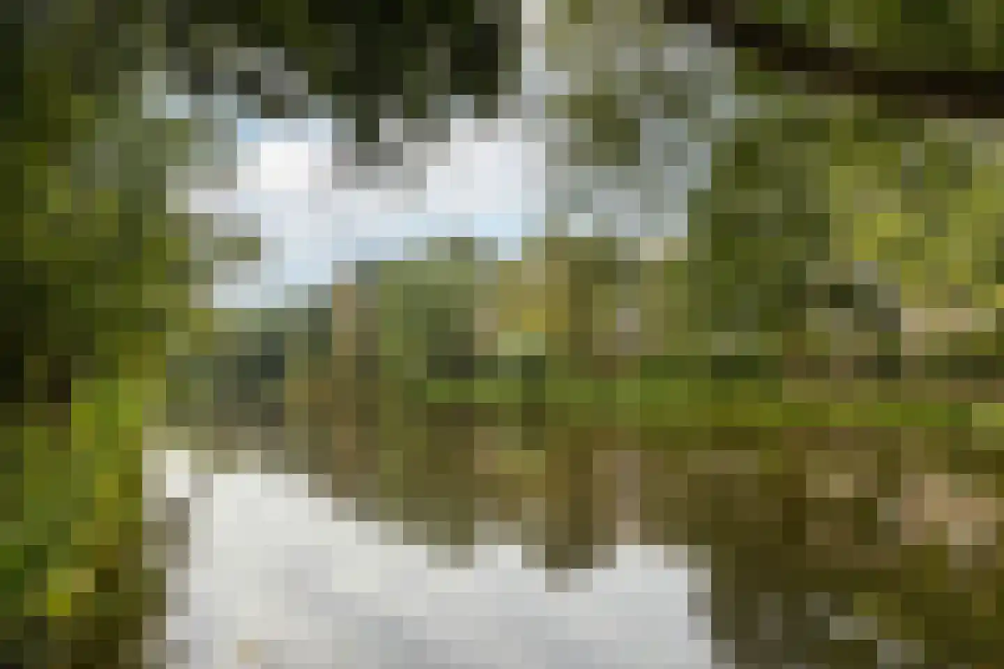 Aert van Neslaan 545 Oegstgeest thumbnail 8