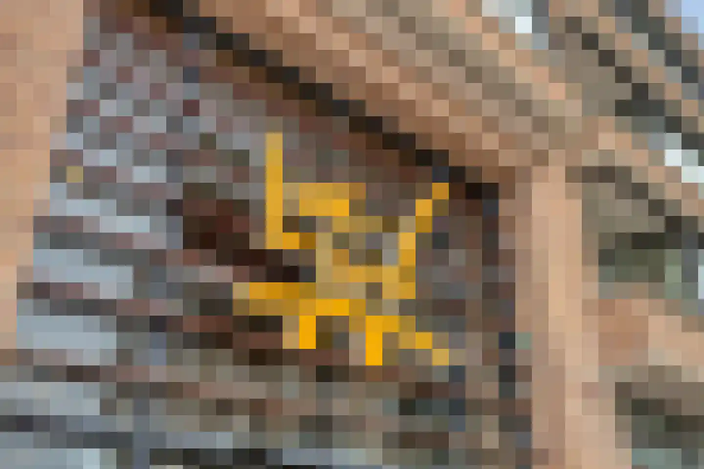 Aert van Neslaan 610 Oegstgeest thumbnail 28