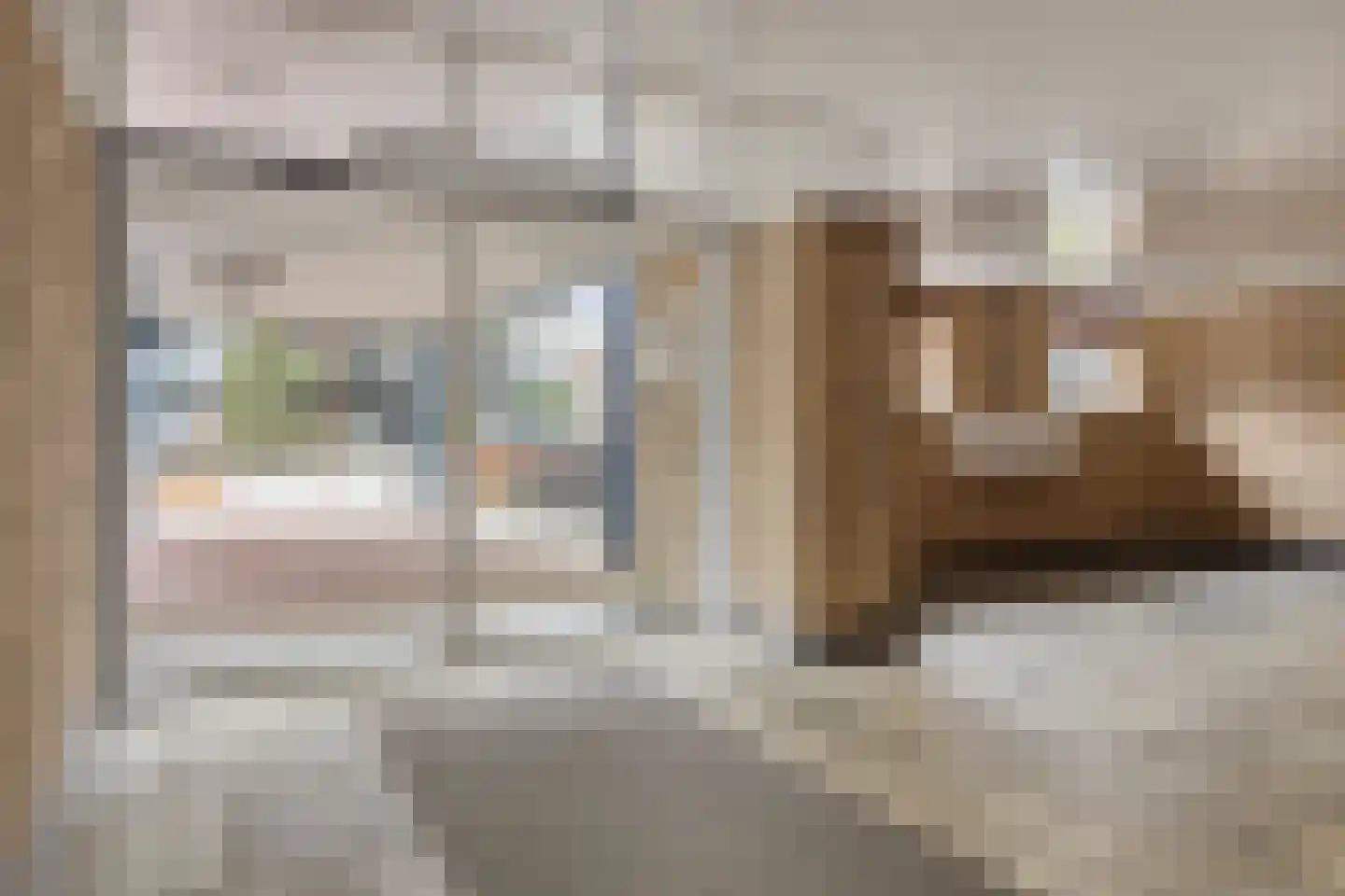 Aert van Neslaan 610 Oegstgeest thumbnail 5