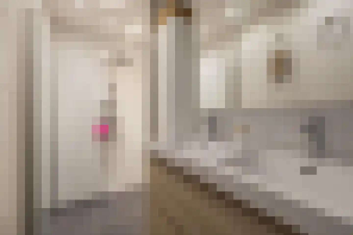 Aert van Neslaan 611 Oegstgeest thumbnail 12