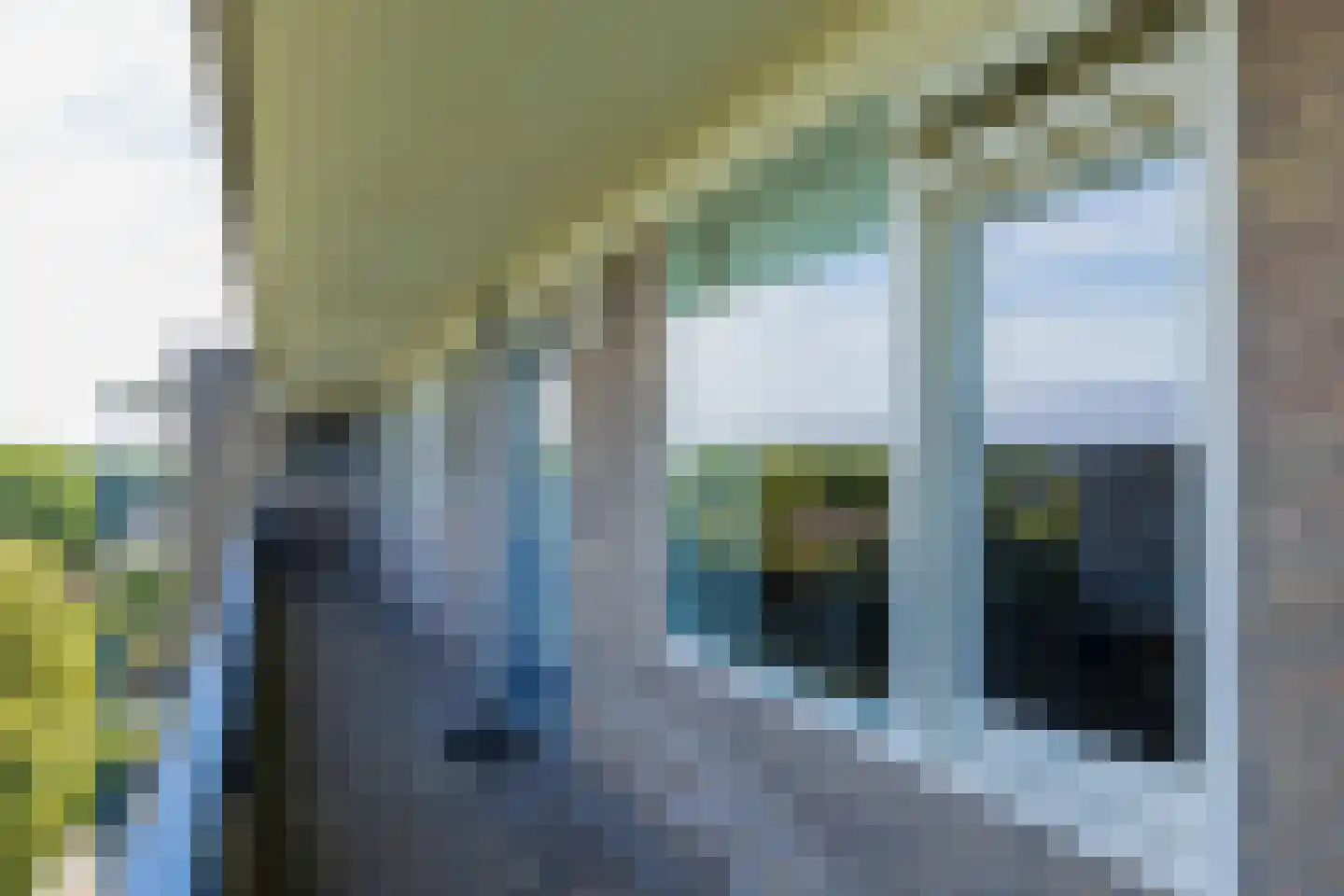 Aert van Neslaan 611 Oegstgeest thumbnail 5