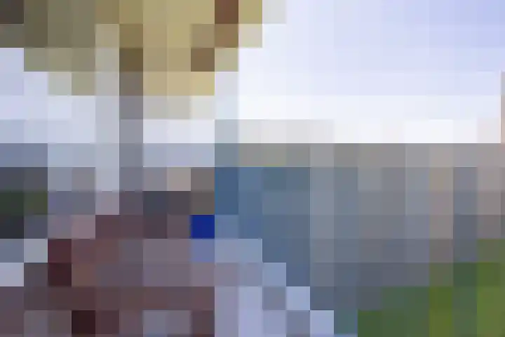 Aert van Neslaan 612 Oegstgeest thumbnail 11