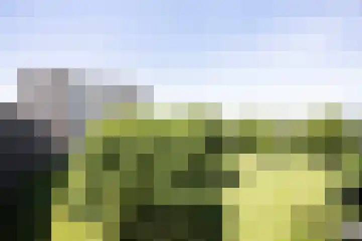 Aert van Neslaan 612 Oegstgeest thumbnail 12