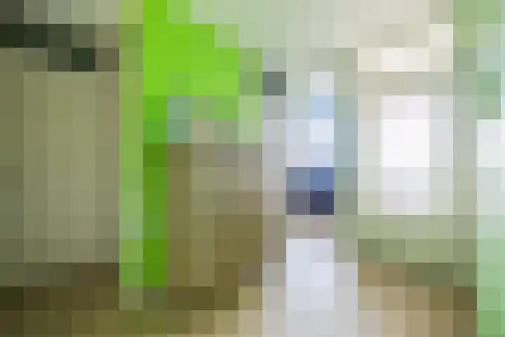 Aert van Neslaan 612 Oegstgeest thumbnail 33