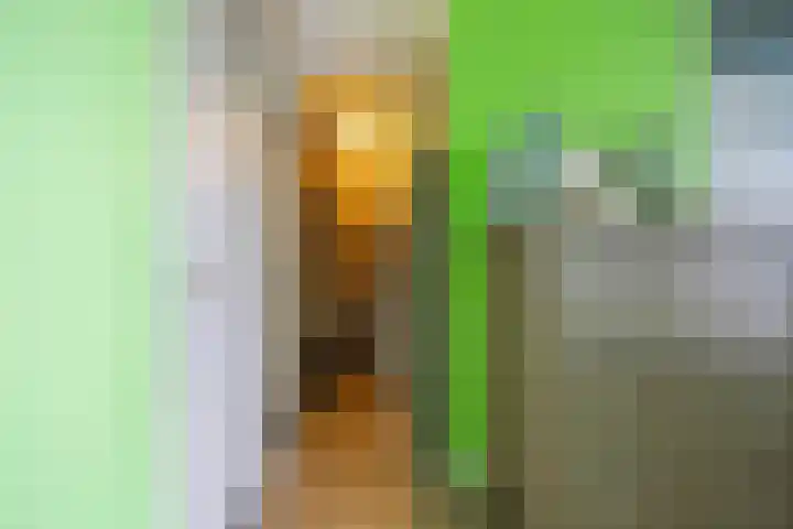 Aert van Neslaan 612 Oegstgeest thumbnail 34