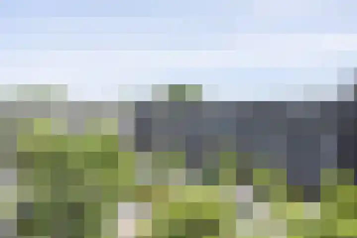 Aert van Neslaan 612 Oegstgeest thumbnail 37