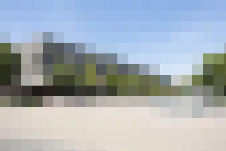 Aert van Neslaan 612 Oegstgeest thumbnail 38