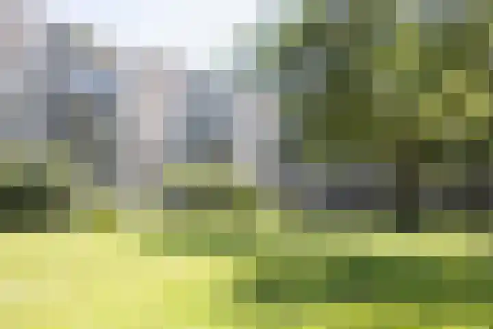 Aert van Neslaan 612 Oegstgeest thumbnail 39