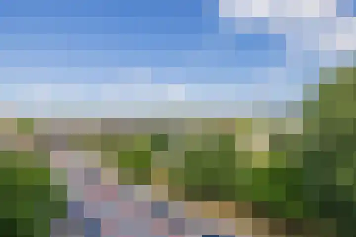 Aert van Neslaan 623 Oegstgeest thumbnail 19