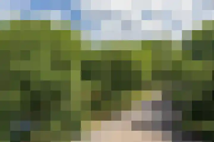 Aert van Neslaan 623 Oegstgeest thumbnail 20